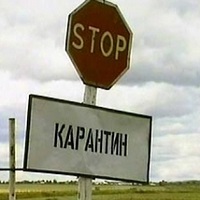 На Кубани увеличили число ветеринарных постов